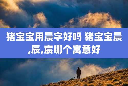 猪宝宝用晨字好吗 猪宝宝晨,辰,宸哪个寓意好