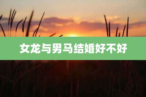 女龙与男马结婚好不好