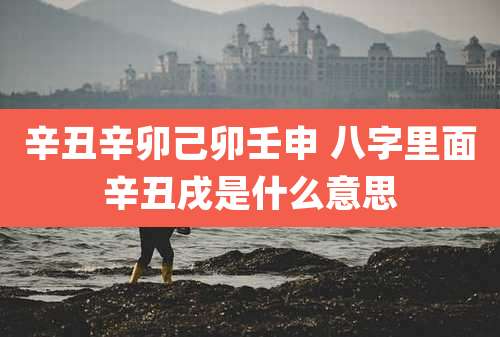 辛丑辛卯己卯壬申 八字里面辛丑戌是什么意思