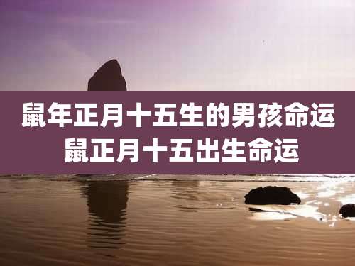 鼠年正月十五生的男孩命运 鼠正月十五出生命运