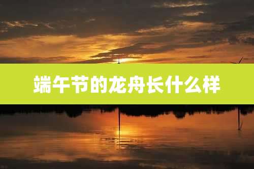 端午节的龙舟长什么样