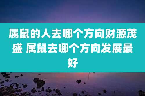 属鼠的人去哪个方向财源茂盛 属鼠去哪个方向发展最好