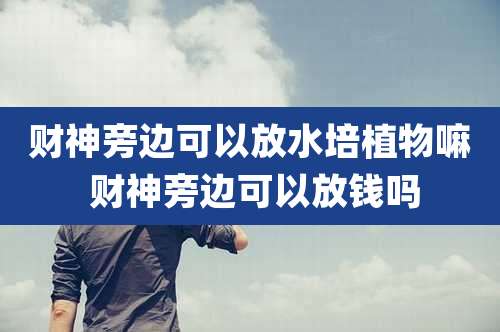 财神旁边可以放水培植物嘛 财神旁边可以放钱吗