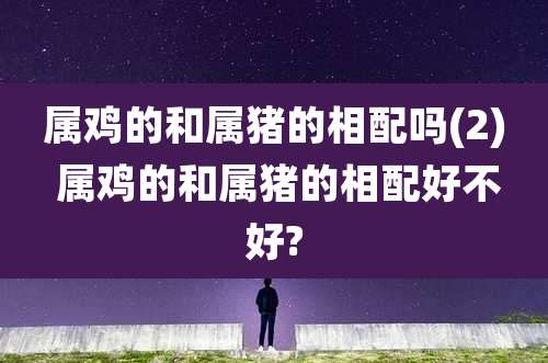 属鸡的和属猪的相配吗(2) 属鸡的和属猪的相配好不好?