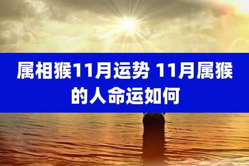 属相猴11月运势 11月属猴的人命运如何
