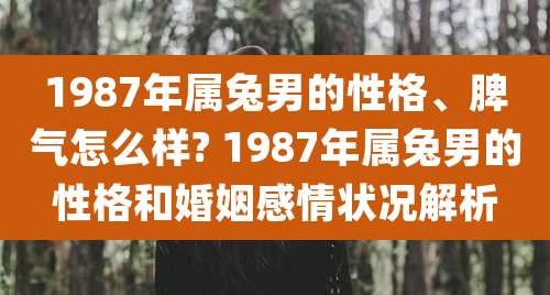 1987年属兔男的性格、脾气怎么样? 1987年属兔男的性格和婚姻感情状况解析