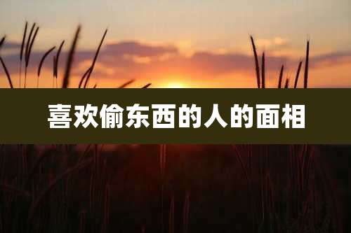 喜欢偷东西的人的面相