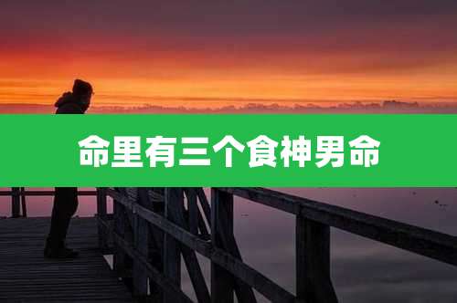 命里有三个食神男命