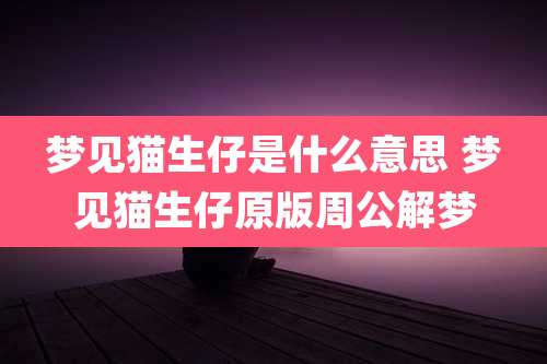 梦见猫生仔是什么意思 梦见猫生仔原版周公解梦