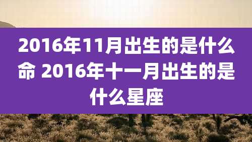 2016年11月出生的是什么命 2016年十一月出生的是什么星座