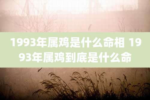 1993年属鸡是什么命相 1993年属鸡到底是什么命