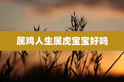 属鸡人生属虎宝宝好吗