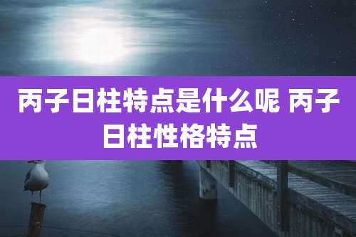 丙子日柱特点是什么呢 丙子日柱性格特点