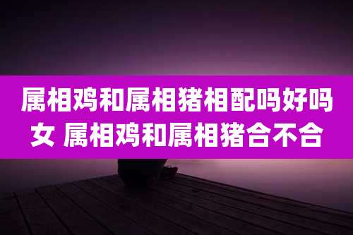 属相鸡和属相猪相配吗好吗女 属相鸡和属相猪合不合