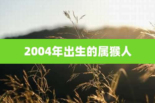2004年出生的属猴人