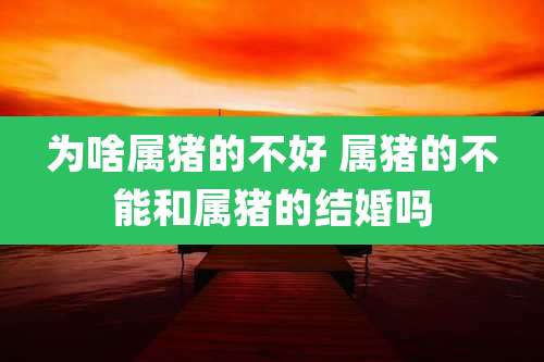 为啥属猪的不好 属猪的不能和属猪的结婚吗