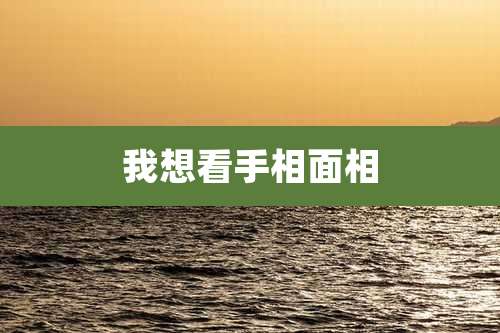 我想看手相面相