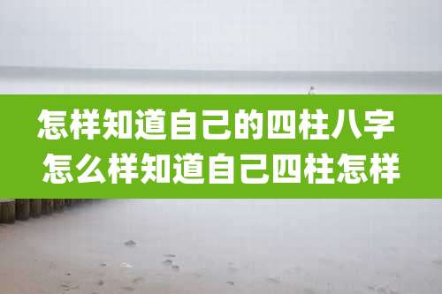 怎样知道自己的四柱八字 怎么样知道自己四柱怎样