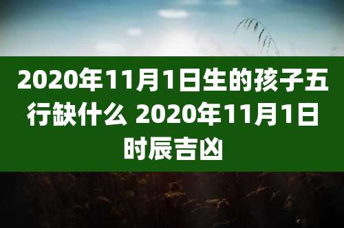 2020年11月1日生的孩子五行缺什么 2020年11月1日时辰吉凶
