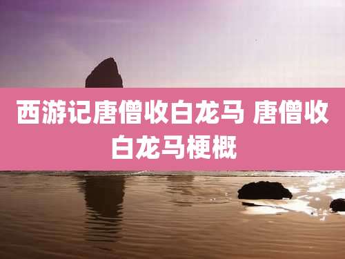 西游记唐僧收白龙马 唐僧收白龙马梗概