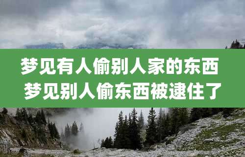 梦见有人偷别人家的东西 梦见别人偷东西被逮住了