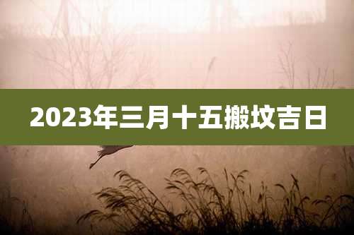 2023年三月十五搬坟吉日