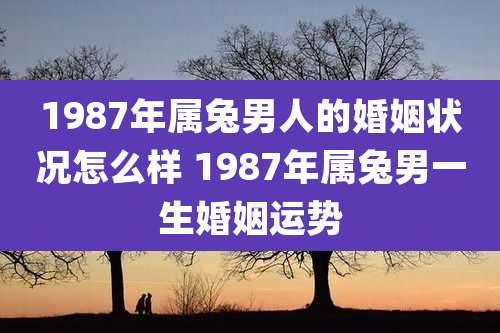 1987年属兔男人的婚姻状况怎么样 1987年属兔男一生婚姻运势