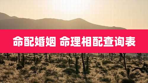 命配婚姻 命理相配查询表