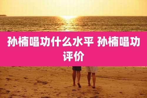 孙楠唱功什么水平 孙楠唱功评价