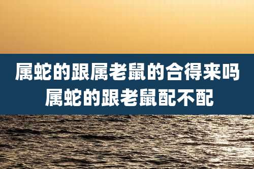 属蛇的跟属老鼠的合得来吗 属蛇的跟老鼠配不配