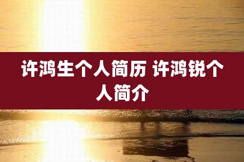 许鸿生个人简历 许鸿锐个人简介