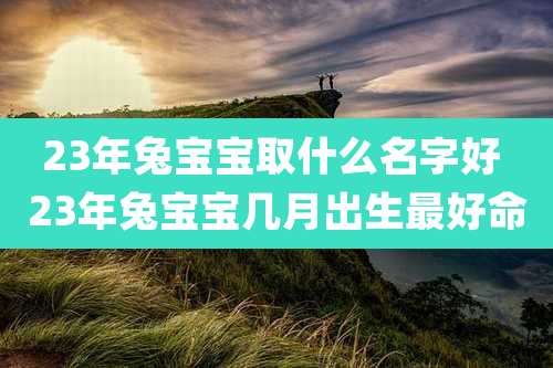 23年兔宝宝取什么名字好 23年兔宝宝几月出生最好命