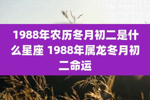 1988年农历冬月初二是什么星座 1988年属龙冬月初二命运