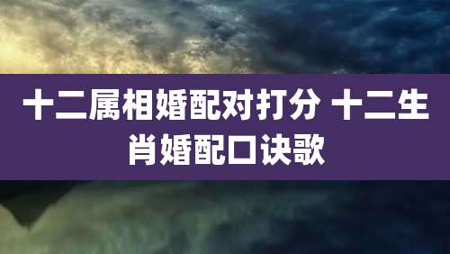 十二属相婚配对打分 十二生肖婚配口诀歌