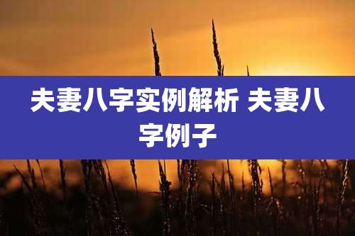 夫妻八字实例解析 夫妻八字例子