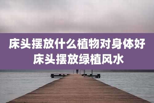 床头摆放什么植物对身体好 床头摆放绿植风水