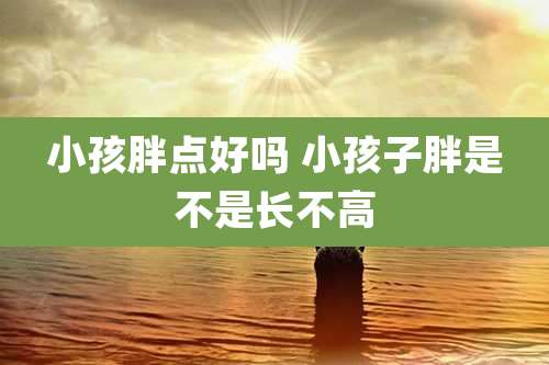 小孩胖点好吗 小孩子胖是不是长不高