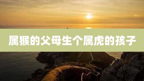 属猴的父母生个属虎的孩子