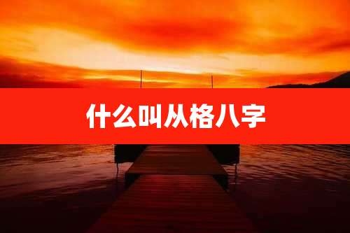 什么叫从格八字