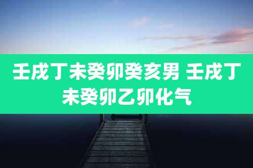 壬戌丁未癸卯癸亥男 壬戌丁未癸卯乙卯化气