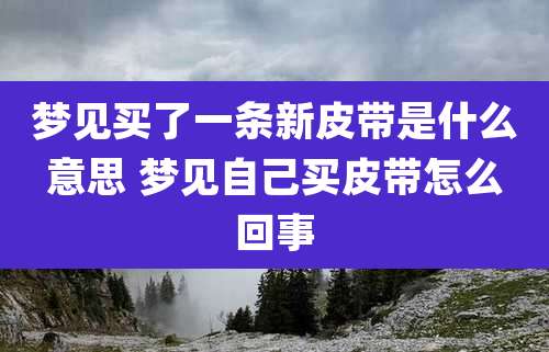 梦见买了一条新皮带是什么意思 梦见自己买皮带怎么回事