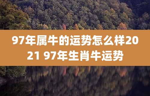 97年属牛的运势怎么样2021 97年生肖牛运势