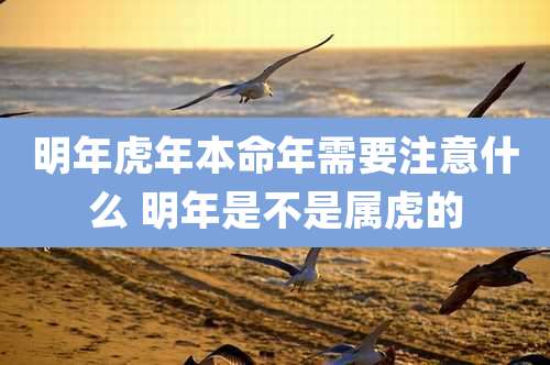 明年虎年本命年需要注意什么 明年是不是属虎的