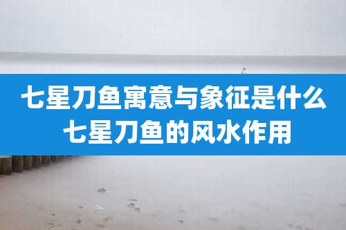 七星刀鱼寓意与象征是什么 七星刀鱼的风水作用