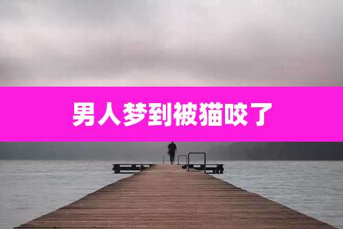 男人梦到被猫咬了