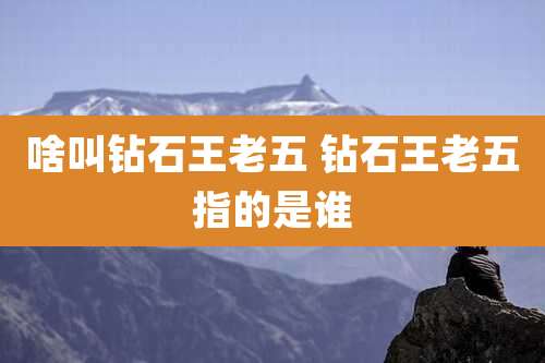 啥叫钻石王老五 钻石王老五指的是谁