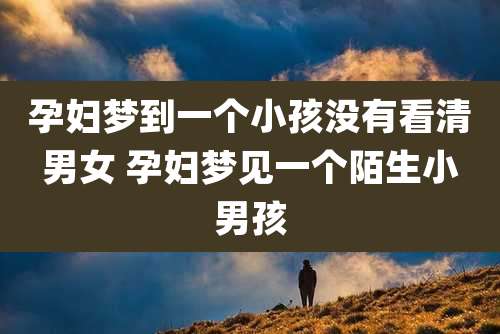 孕妇梦到一个小孩没有看清男女 孕妇梦见一个陌生小男孩
