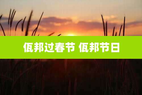 佤邦过春节 佤邦节日