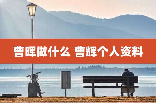 曹晖做什么 曹辉个人资料