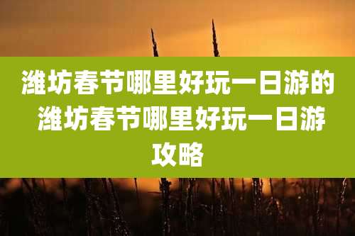 潍坊春节哪里好玩一日游的 潍坊春节哪里好玩一日游攻略